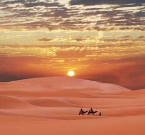 Sahara-woestijn